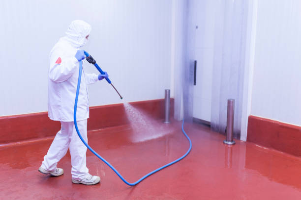 Pre-Holiday Cleaning in State Line, PA